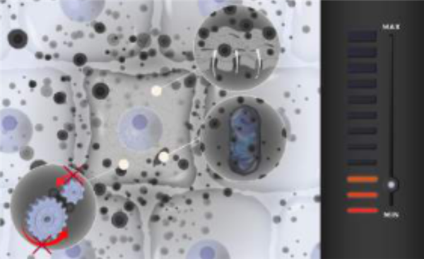 1a0677ff57194a1ba2a143fea49b256e.png