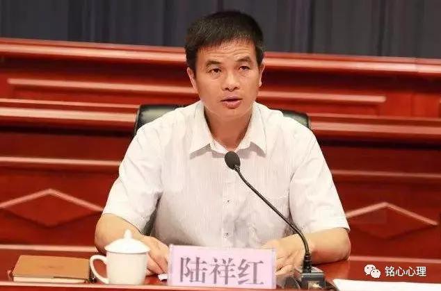 罗城县多少人口_罗城县东门镇勒俄村(3)