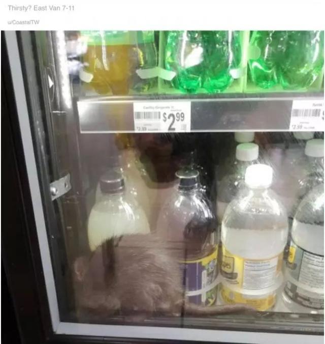 1be12d9ec99c4359a2b34f7da01487b6.jpeg