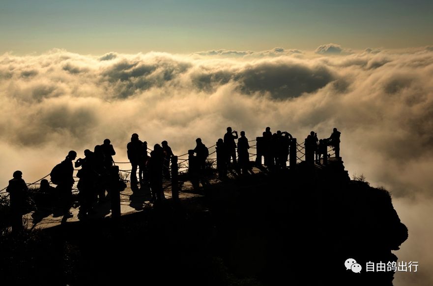 了是一座天空之城 大自然鬼斧神工造就的老金顶附近的高山石林群峰