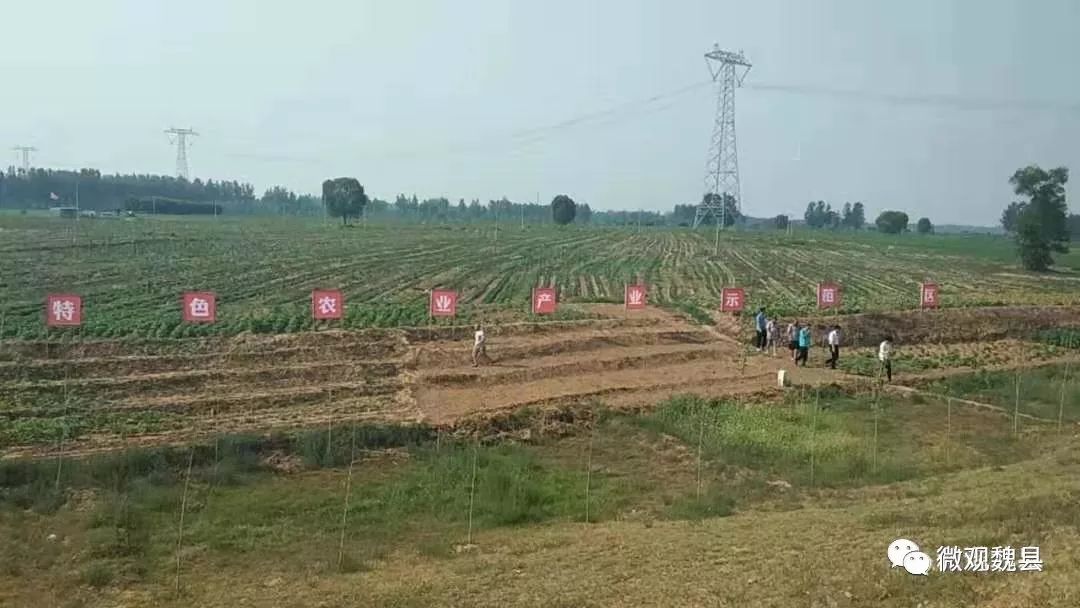北皋 来自搜狐网