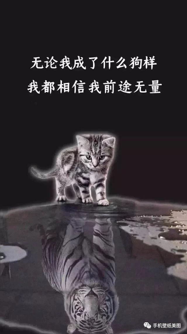 抖音上的最火锁屏壁纸