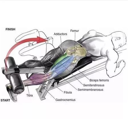 常用的肩部、腿部、腿部动作练习图解,让你从