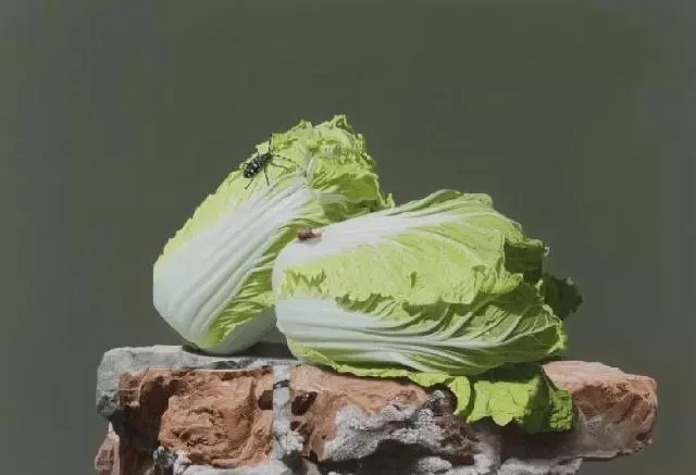 原创3人画大白菜带水珠的油画卖28万却不如简单的水墨画卖200万
