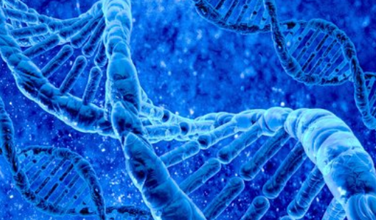 胰岛素是啥组成的 36d32cdaff864b44aab5c708093099b9.png