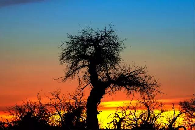 自由的气息是什么 3ab9729546094930ab220ed0fa656fc7.jpeg