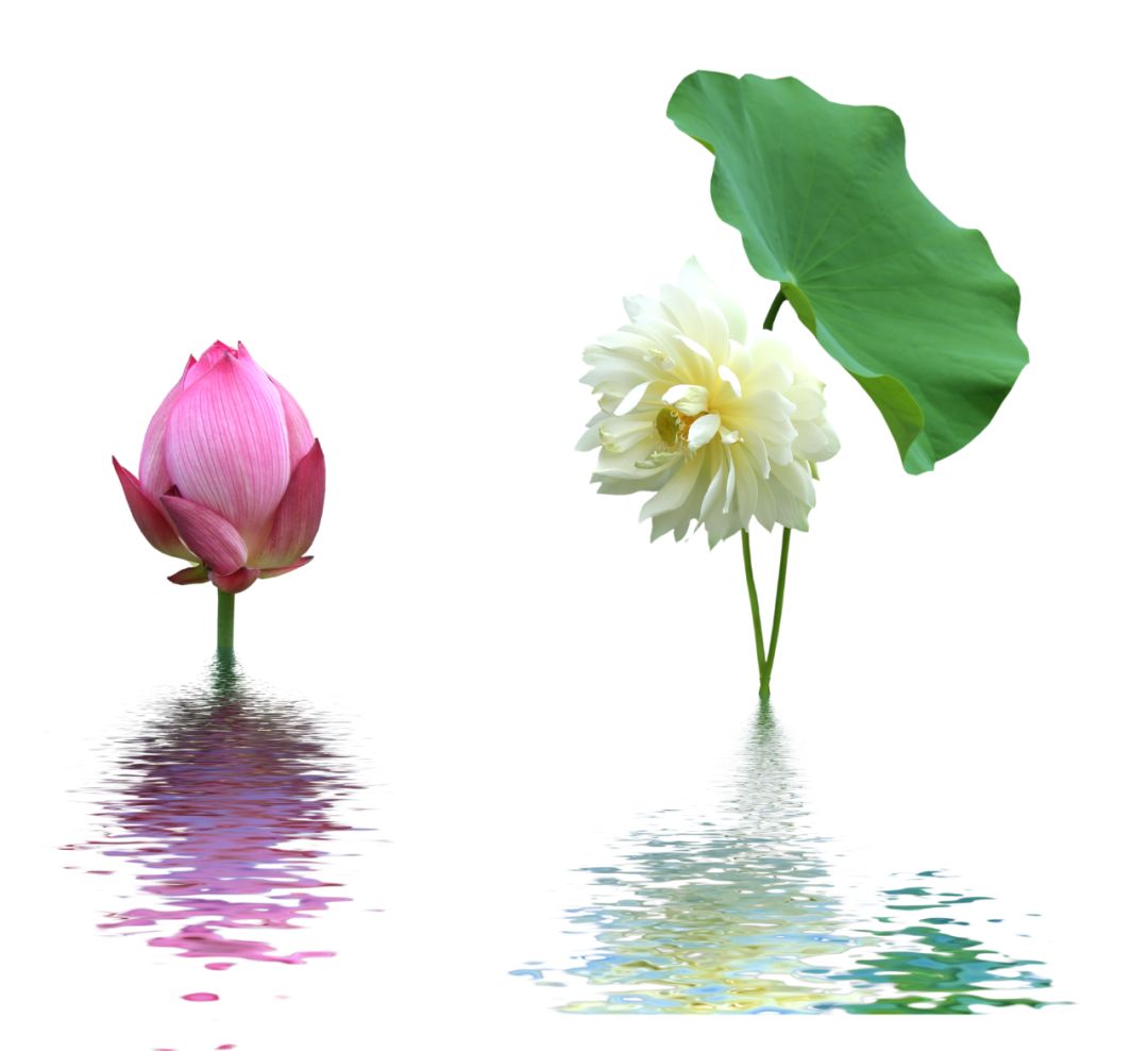 禅乐《如是》,浅墨入画,岁月入禅