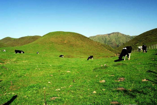 去南山牧场怎么穿搭_南山牧场(2)