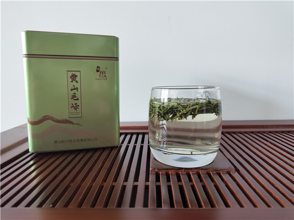 黄山毛峰“冷泡法”，这个夏天值得一试！