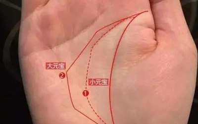 手掌中的元宝纹代表着有财运吗? 金百利娱乐
