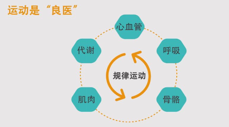 科学运动丨动则有益贵在坚持上规律运动有何好处