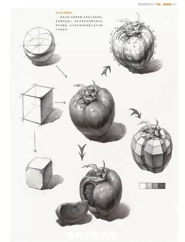 素描静物西红柿的画法家有美术生的都收藏了