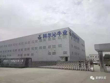 新野歪子镇的经济总量有多少_新野多少人口