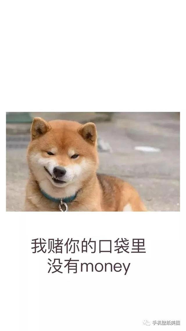 ϵֽ