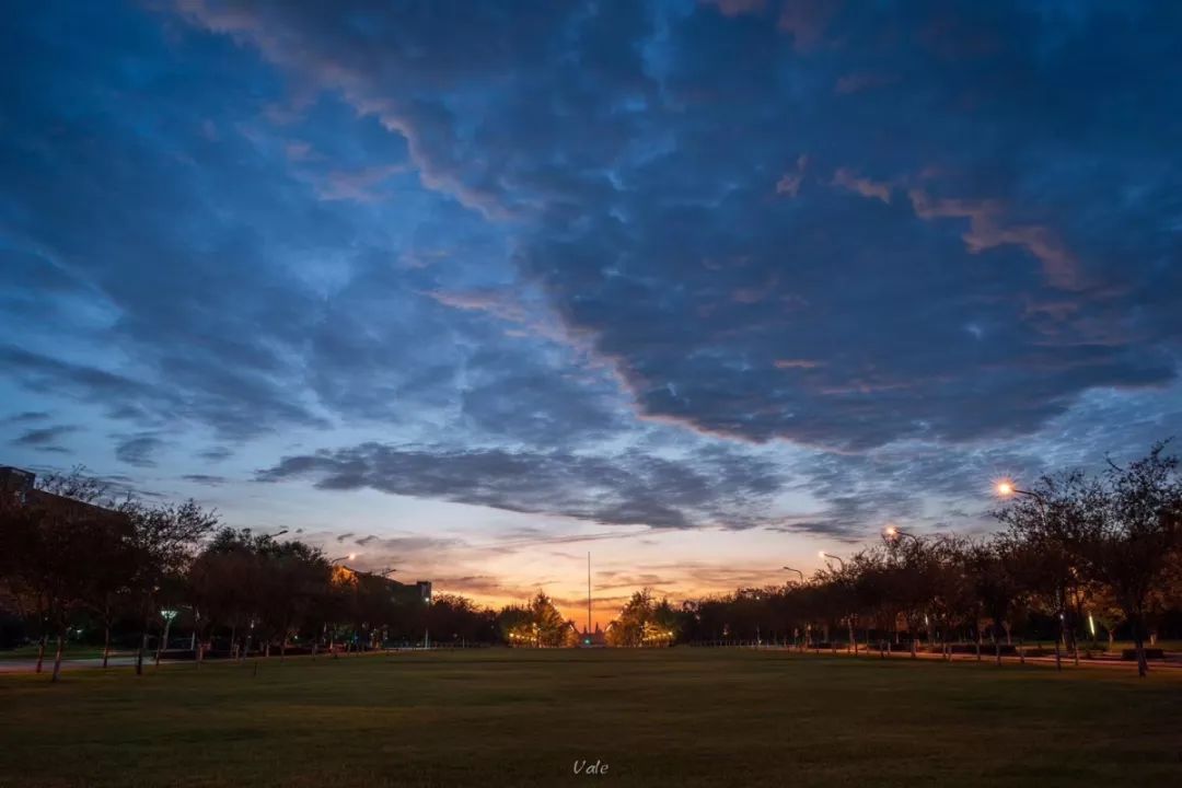 自由的微风拂过 6542c15e256b4cb1bc9af647b18bd6af.jpeg