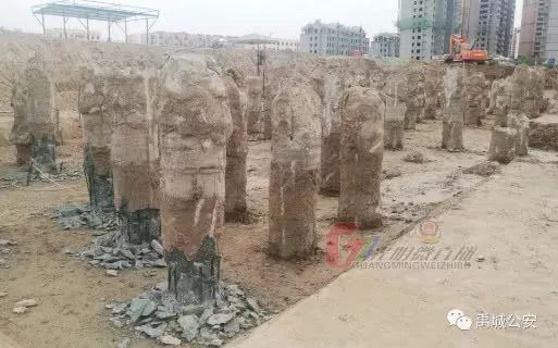 禹城多少人口_蒙古国人口多少人口(3)