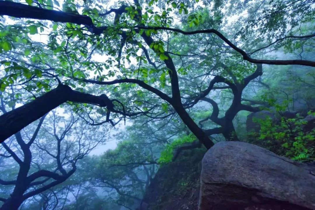 桐柏好玩的地方排行榜_河南南阳桐柏县四个值得一去的旅游景区,喜欢的不要错过了