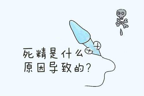 男性死精症怎么预防?