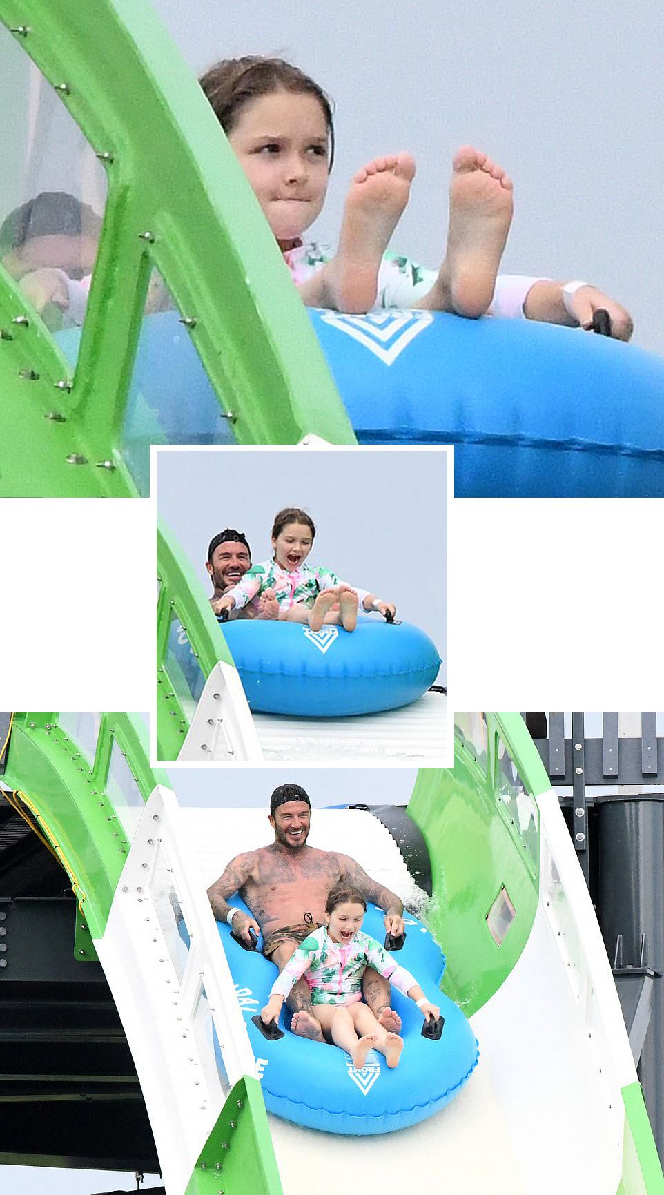 73d53a528a9c492e93f253d32921581a.jpeg