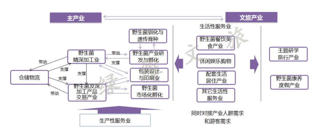 菌类文化艺术作品_菌物文化_菌类文化/