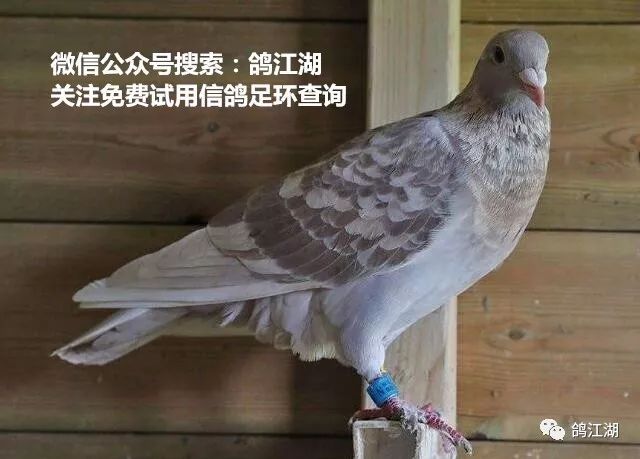 87a4f61ed0ae46b6a7bb8c4ef983151f.jpeg
