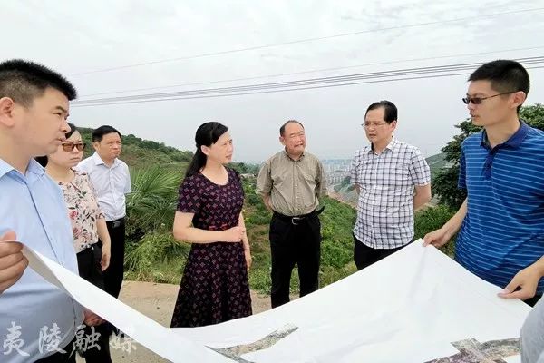 邓玉华调研港窑路夷陵区段项目建设情况37月15日,夷陵区委书记王玺玮