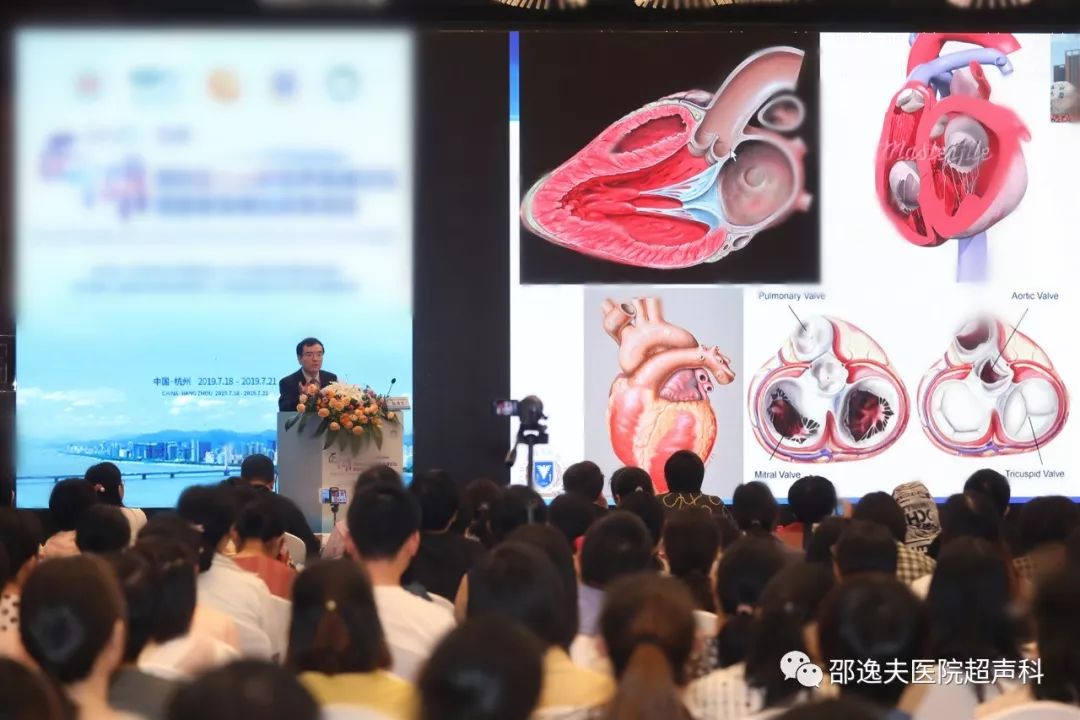 浙江大学医学院附属邵逸夫医院超声科主任赵博文教授讲述了《胎儿动脉