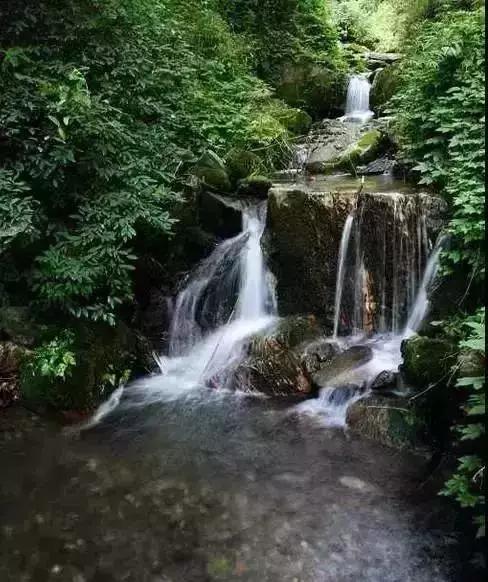 一到夏天,西安周边这四个小村就美似世外桃源