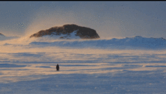 98c225994be94acf855c2cda529569f9.gif