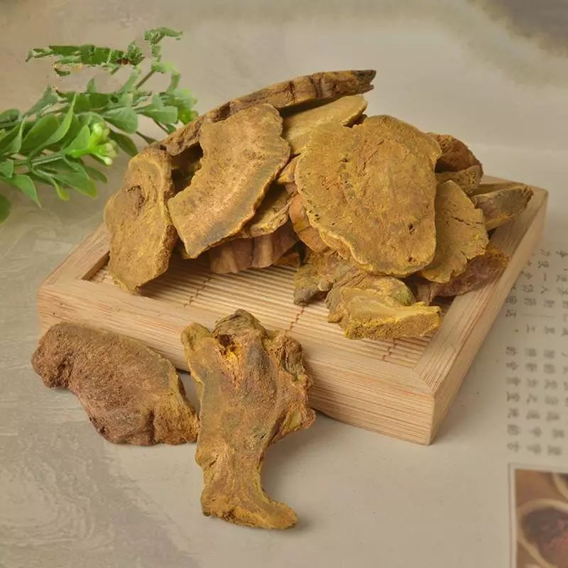 每天学一味中药【大黄】