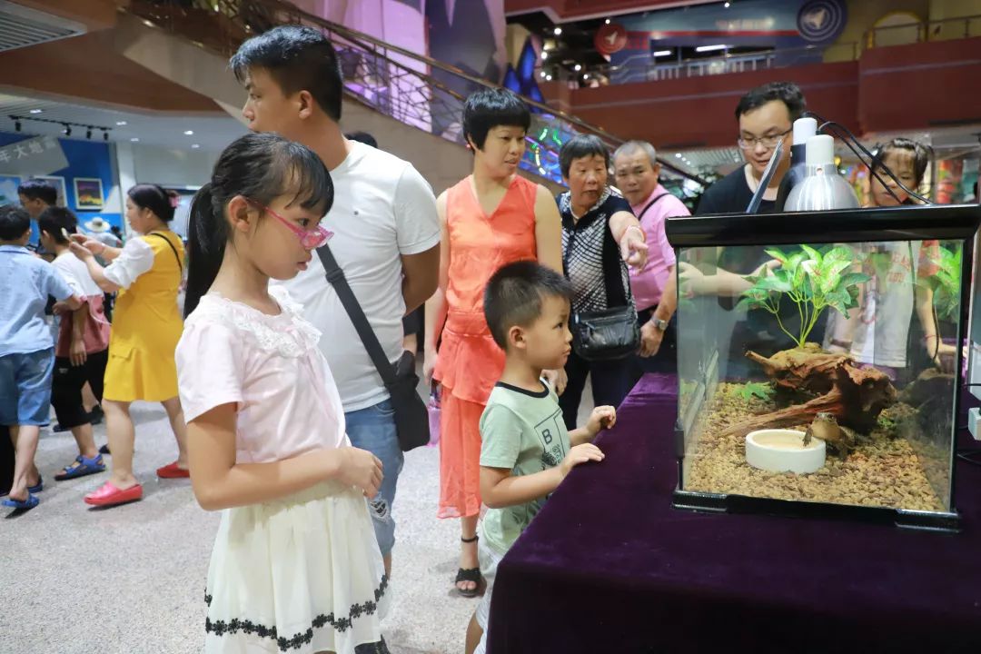 遇见神奇动物城市爬宠主题科普展览开展首个周末迎来了参观的小高峰