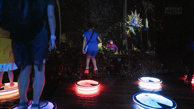 Lumina 景区夜游——互动投影