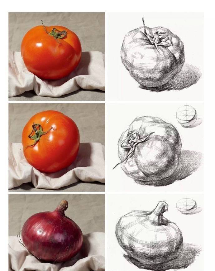 素描静物西红柿的画法家有美术生的都收藏了