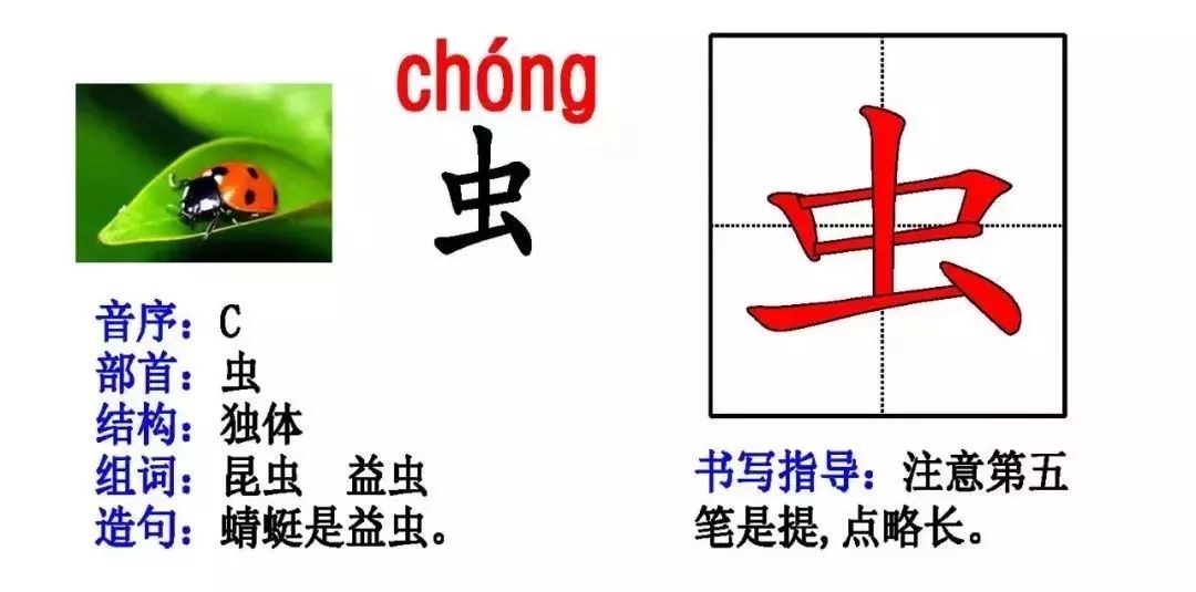 c495554eee58435abe5a5d7844aa9881.jpeg