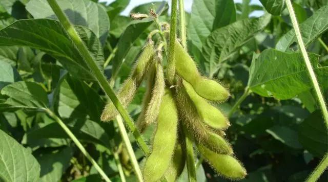 d5e1bc5af0fd4eab8c18bffc662980e8.JPG