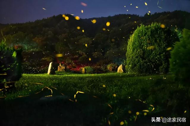 萤火虫为什么在夜间发光 dae2a2ef7a184ec19a3e69b9b8d68489.jpeg