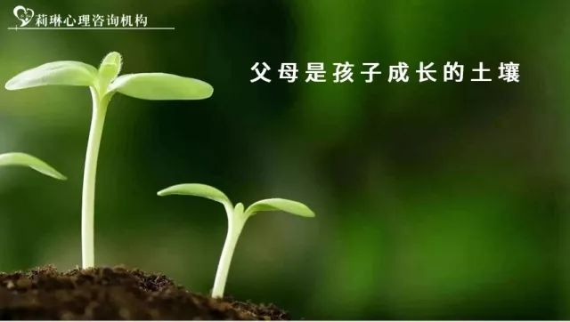 dbc96d2d89d341cdb600319c918becaf.jpeg