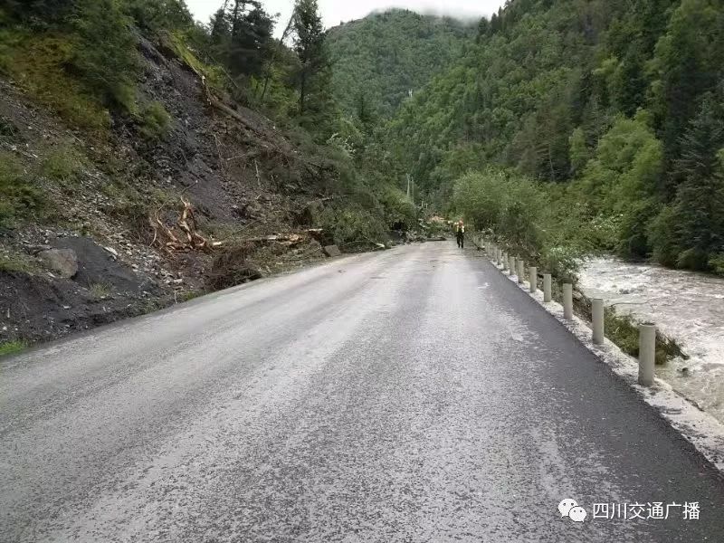 都是暴雨惹的祸国道317线省道302线交通中断