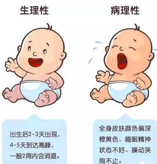 e91c2ee511ed470ba3c61bd1cbeb09ea.png