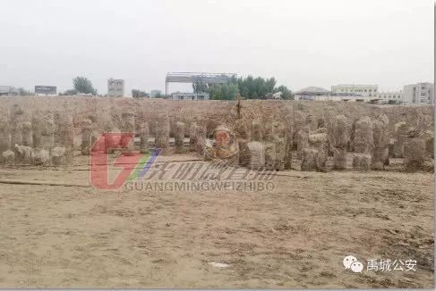 禹城多少人口_蒙古国人口多少人口(3)