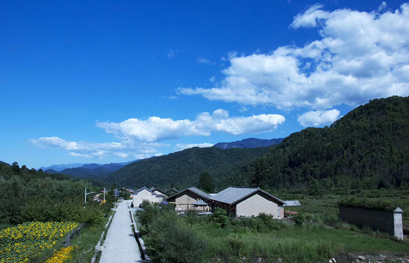 厚畛子镇花耳坪村