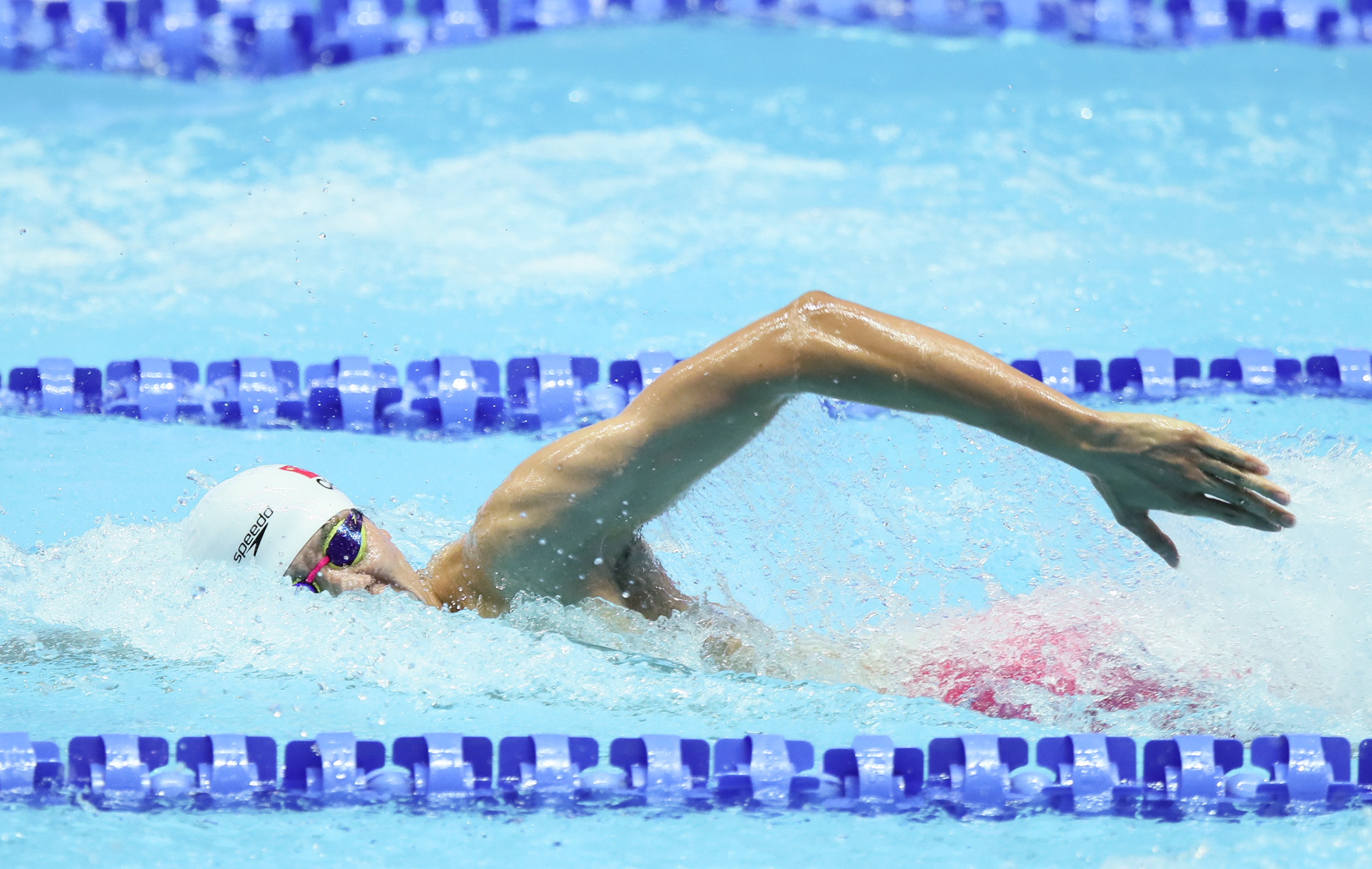 碾压纪录线！2016年里约奥运会女子800米自由泳决赛 莱德基强势夺冠_哔哩哔哩_bilibili
