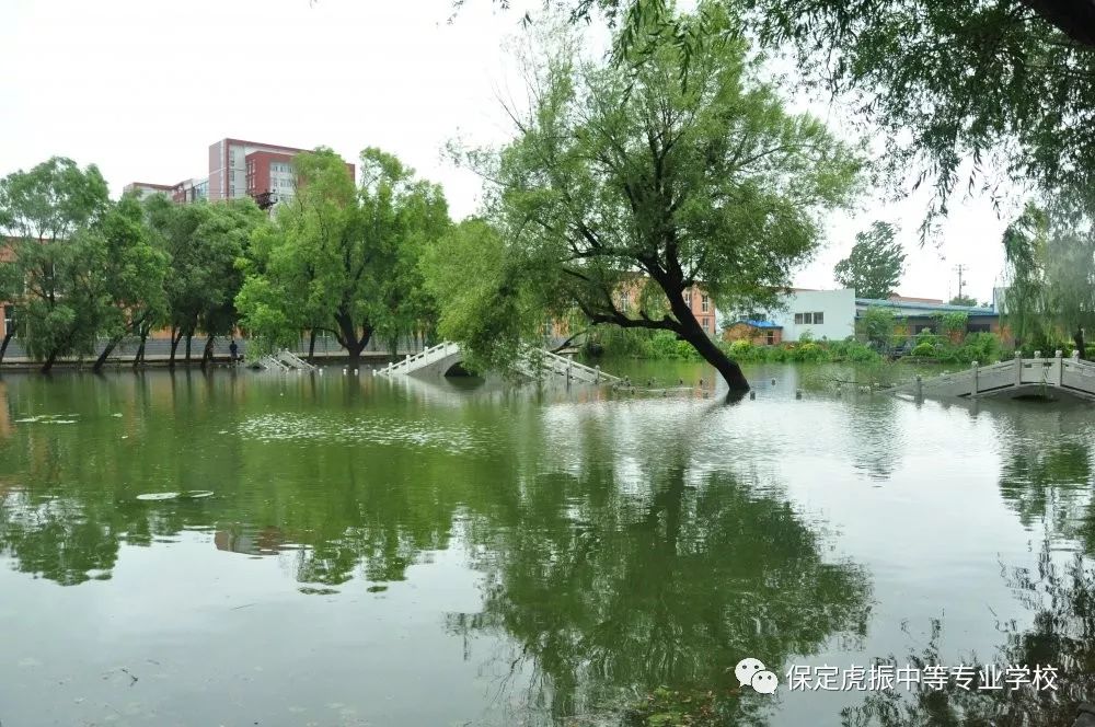 保定虎振技工学校