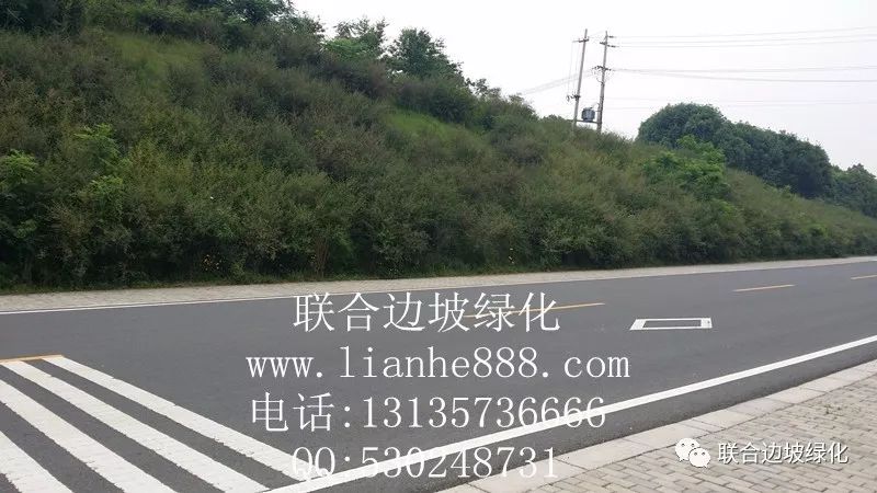 南京市高淳秀山边坡绿化 工程地点位于南京市高淳秀山,城市道路是