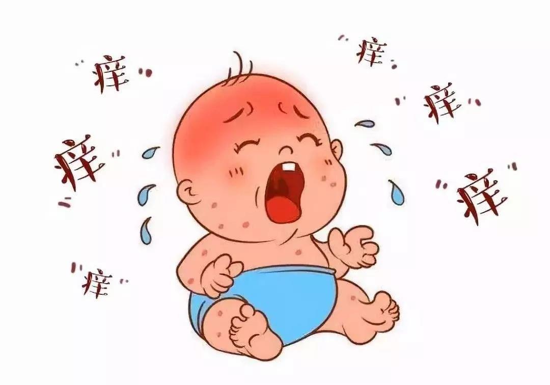 暑湿感冒怎么好的快 fc2bbac4063544edb7d17ae96e377d80.jpeg