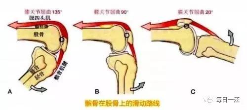 狗瘫了怎么办