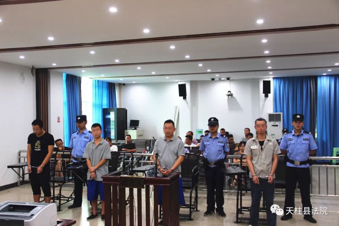 天柱法院公开开庭审理杨某俊涉黑案
