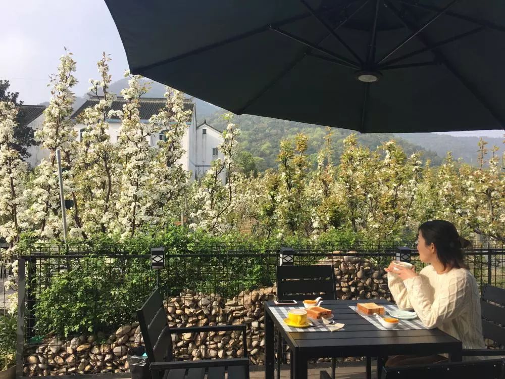 盛放的梨花,为时光珀民宿,增添了多种可能性,客人来到时光珀,简直打开