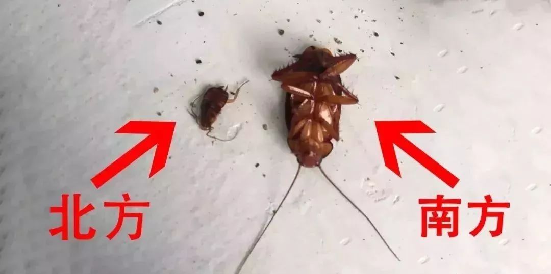 Ӧľ˰ Ϸ벻˶ޱ ֺ,
