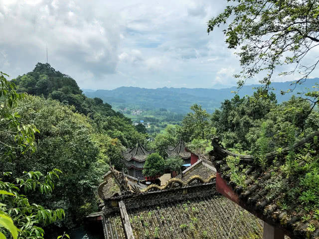 石壁山"攀岩"手脚并用 探秘重庆圣灯山原始森林最野玩法 做最野的山林
